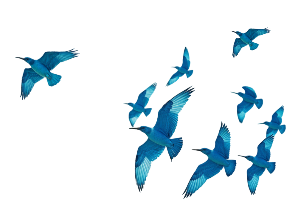 Гарантия результата Свобода Ру